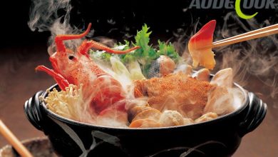 zesty-zap:-the-electric-hot-pot-revolution