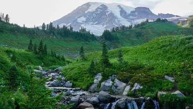 capturing-love-amidst-majestic-peaks:-mt