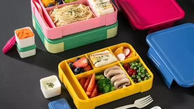 how-can-i-choose-a-perfect-bento-box?