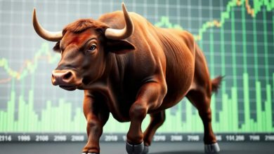 indian-it-stocks:-the-next-big-bull-run-or-a-bubble-waiting-to-burst?